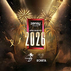 AÑO NUEVO - MIERCOLES 31 DE DICIEMBRE